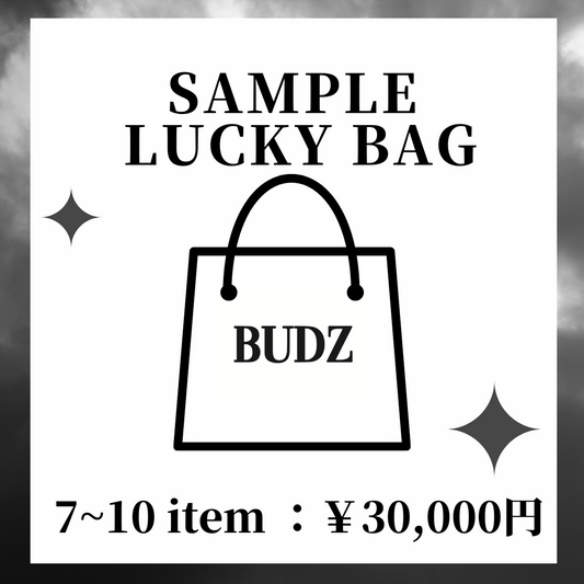 【数量限定】SAMPLE LUCCY BAG